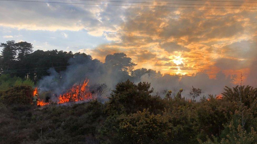 Lions Hill fire