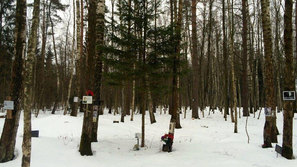 Commemorative posters of Stalin victim (February 2016)