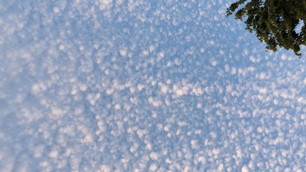 Cirrocumulus floccus clouds pictured from Morley in Leeds