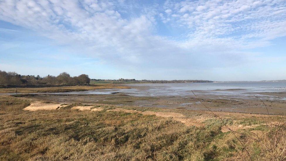 Mudflats near Wrabness