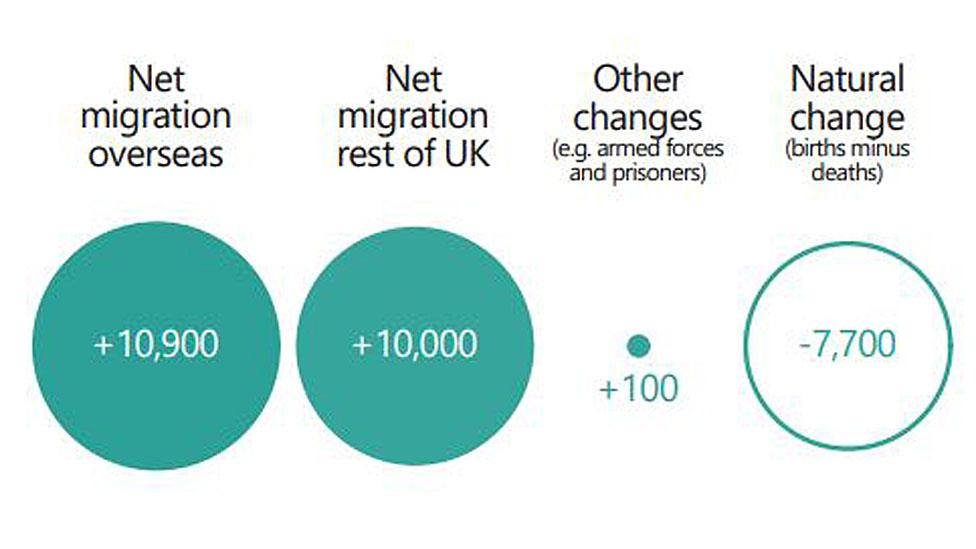 Net migration infographic