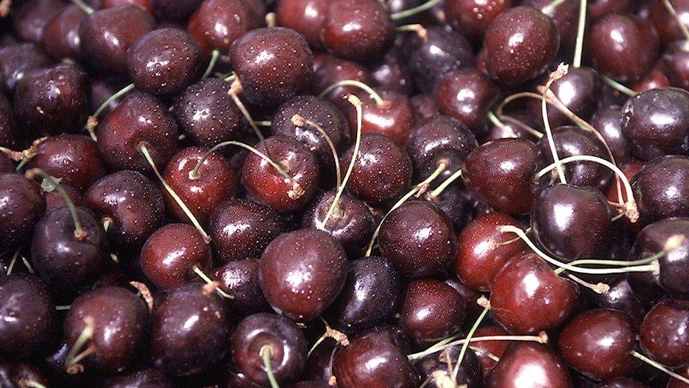 Cherries on a fruit stall in London