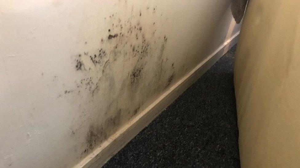 Mould behind sofa