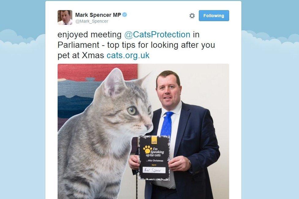 Mark Spencer MP with a giant cardboard cut out of a cat