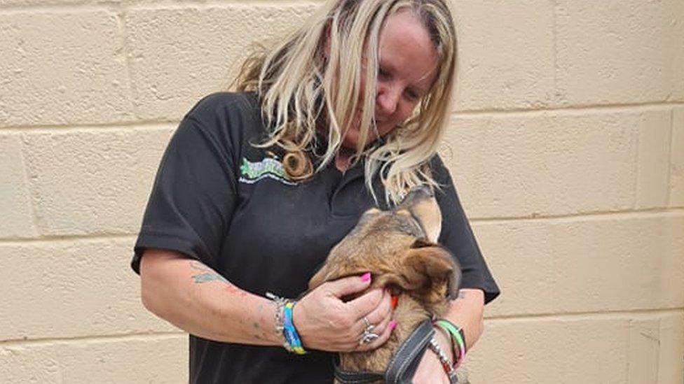 Lorraine Edwards with a rescued dog.