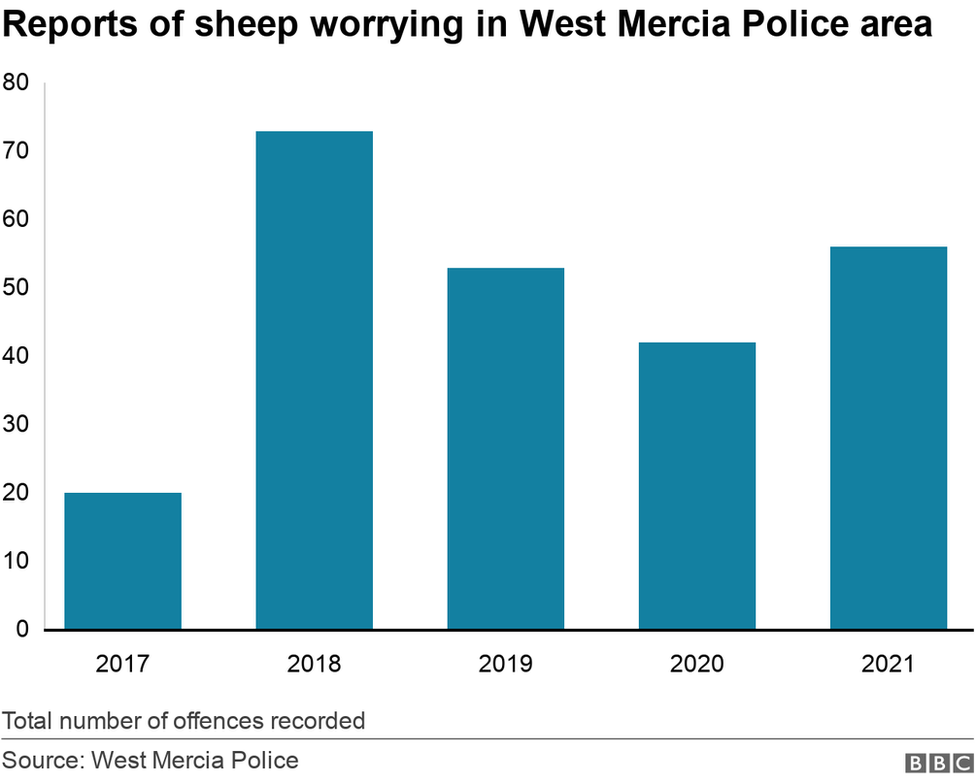 Graph showing sheep worrying cases