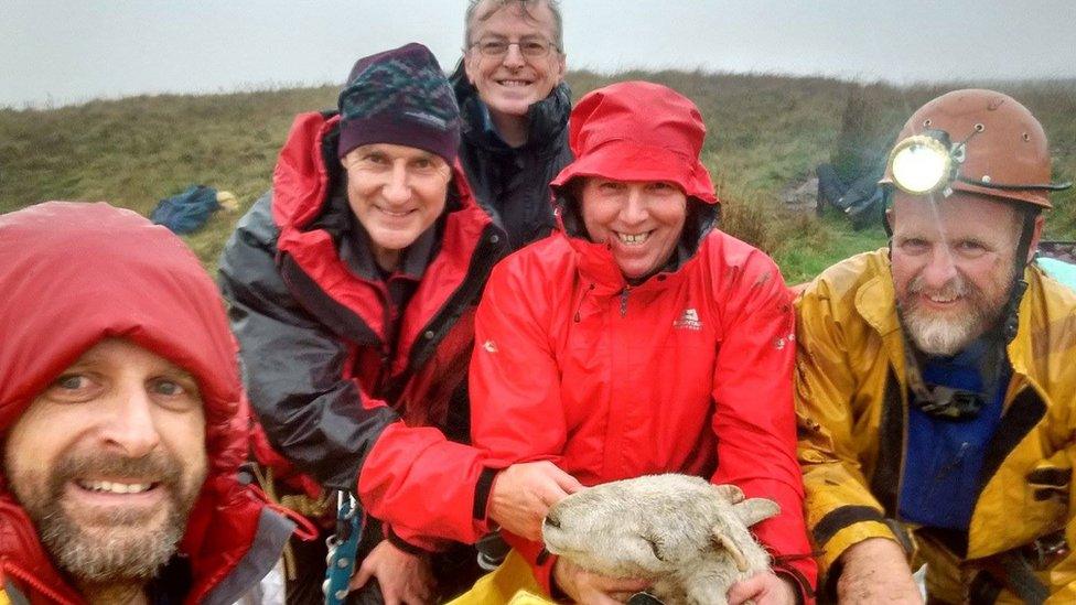 Rescuers holding sheep