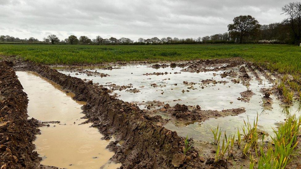 Rain-soaked field