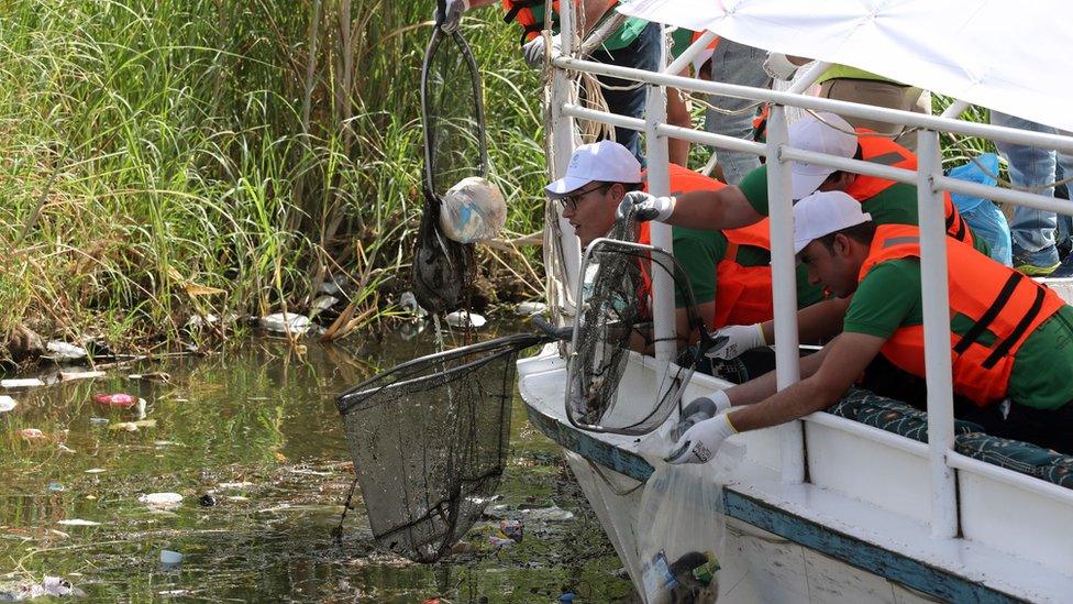 Cleaning up the Nile