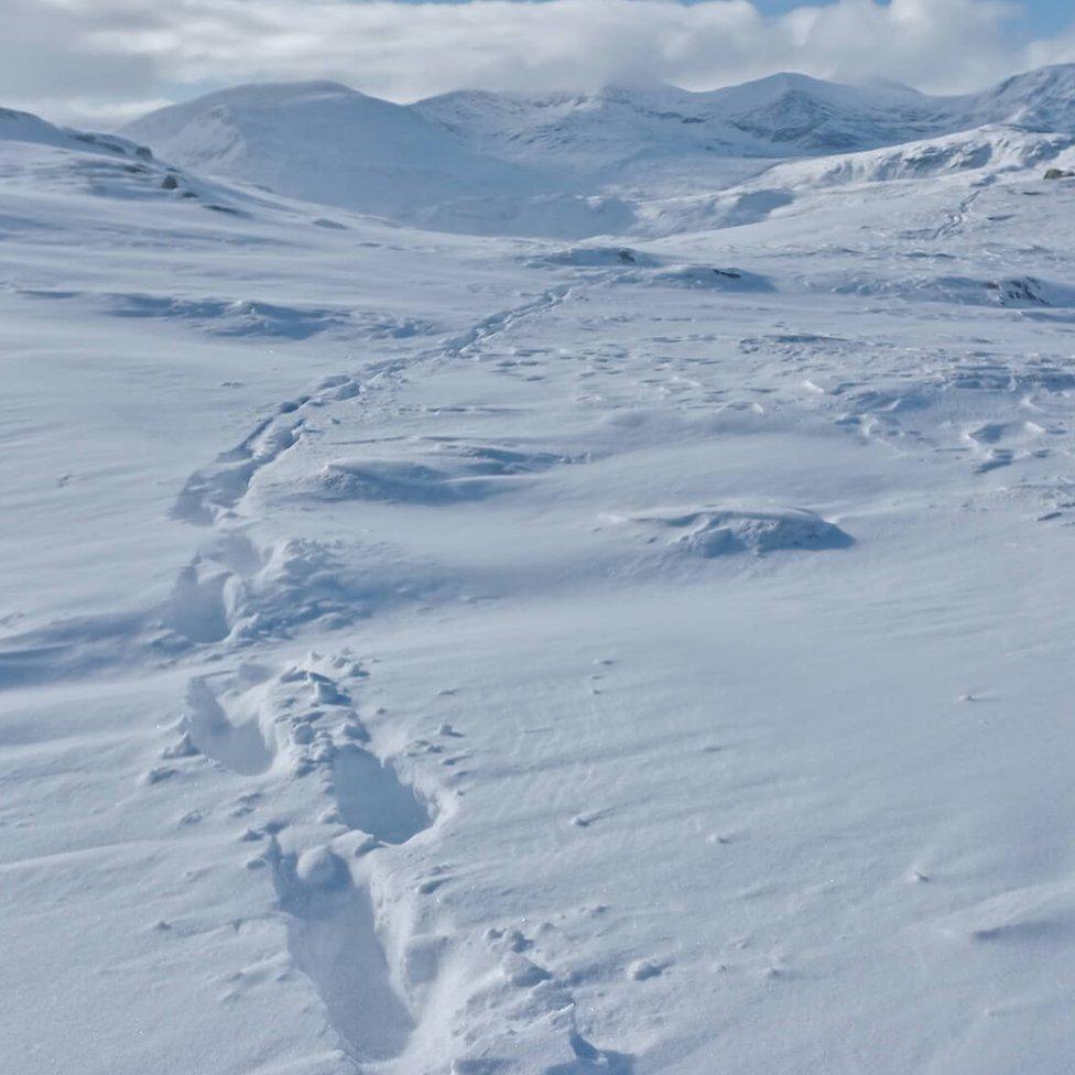 Torridon