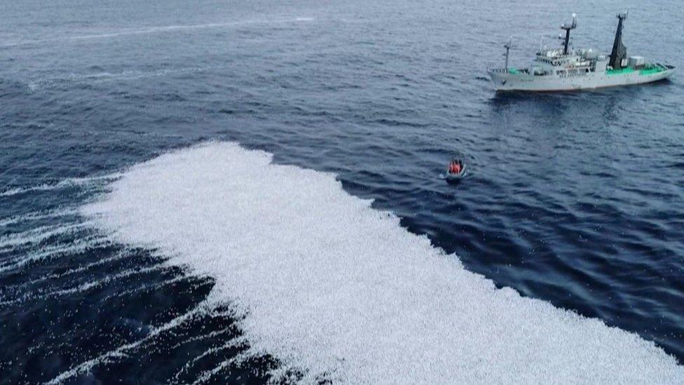 Sea Shepherd vessel and the dead fish