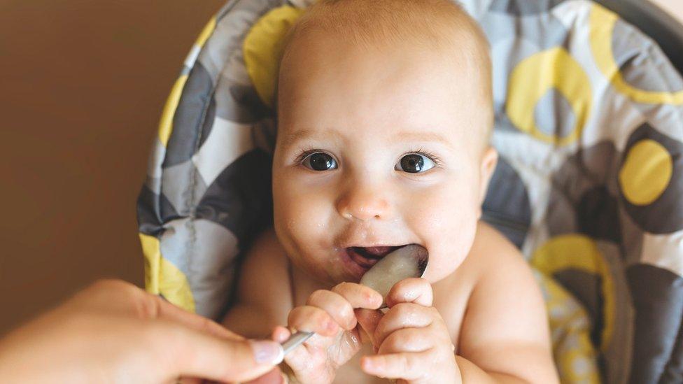 baby in a high chair