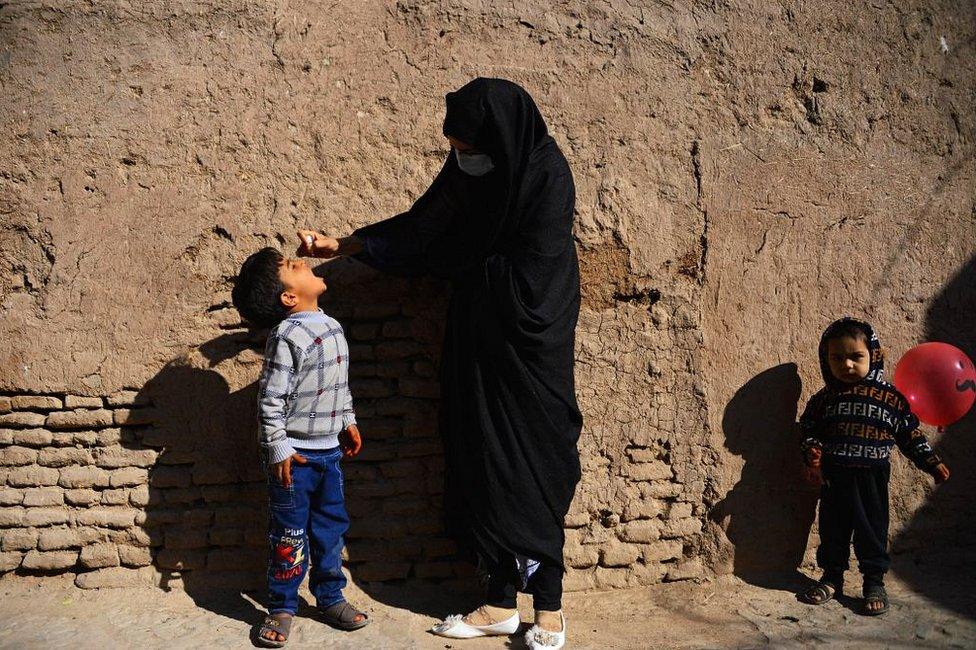 A burka-clad health worker administers polio vaccine drops to a child during a vaccination campaign in the old quarters of Herat in October 2020