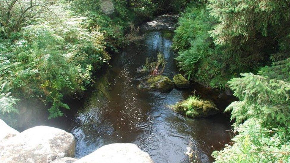 Afon Wen river