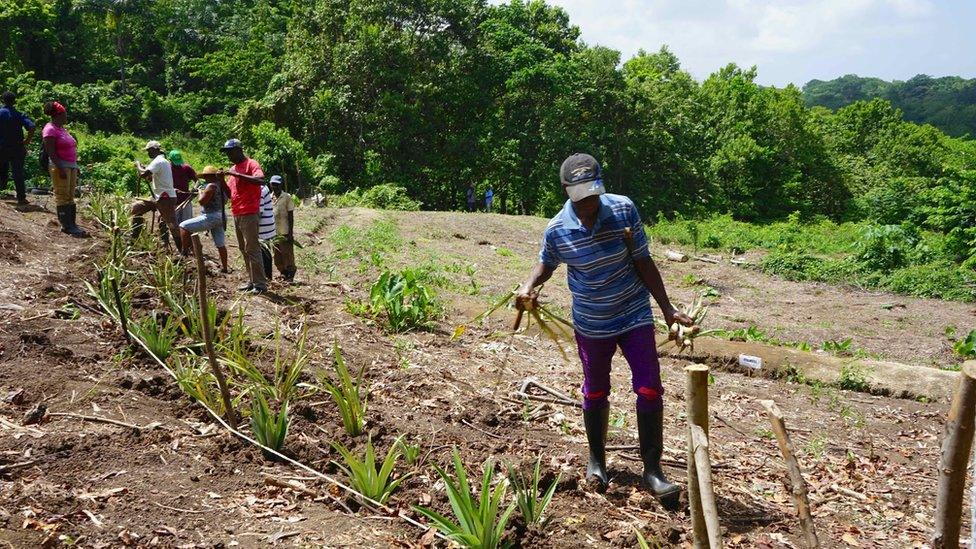 Farmers attend field training