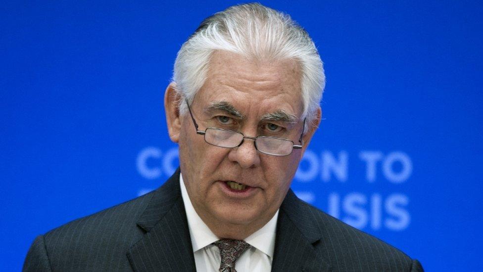 Rex Tillerson said the flow of foreign fighters into Syria and Iraq was being severed