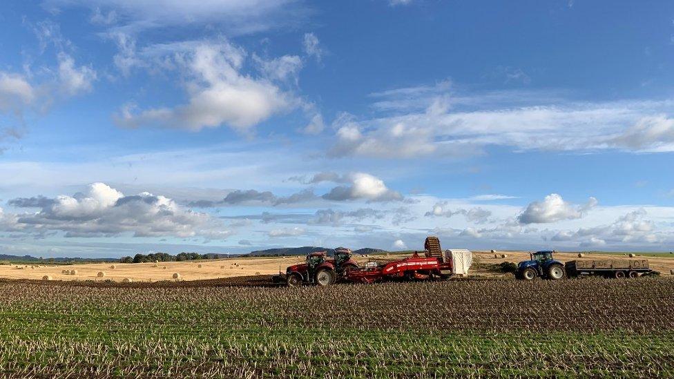 Tractors on farm