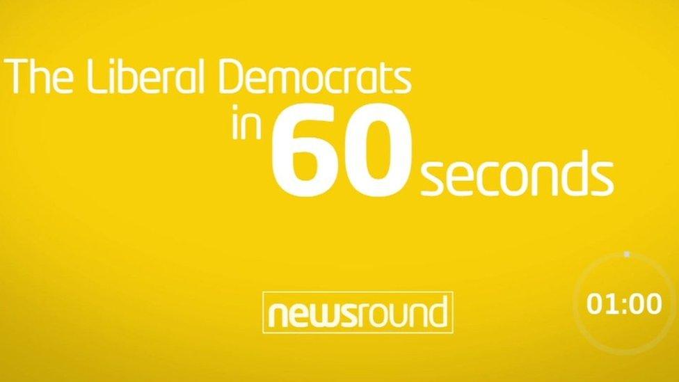 The Liberal Democrats in 60 seconds