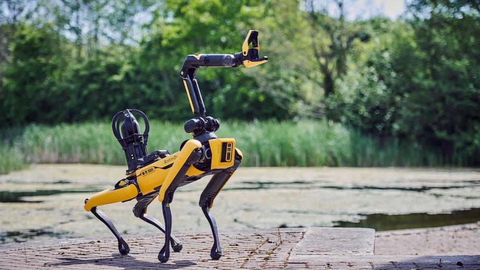 Robot dog