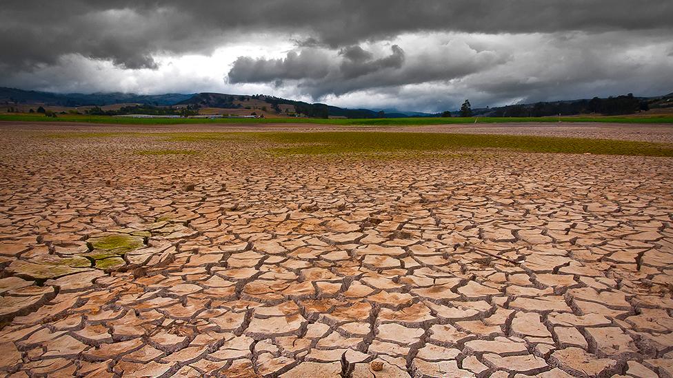 Drought-hit region