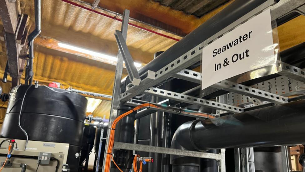 Could taking carbon out of the sea cool down the BBC News