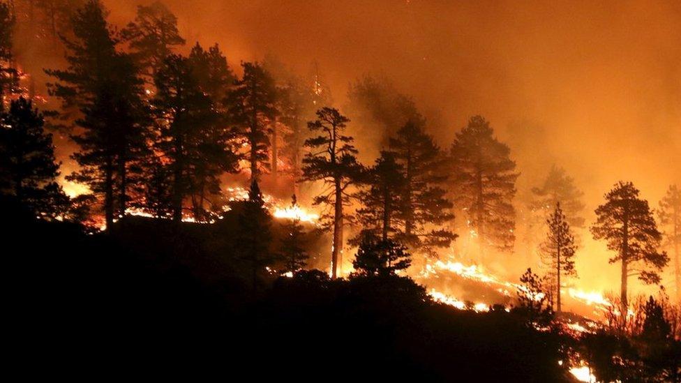 A helicopter drops water on a forest fire in Los Angeles