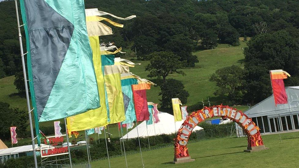 Flags on the maes (field)