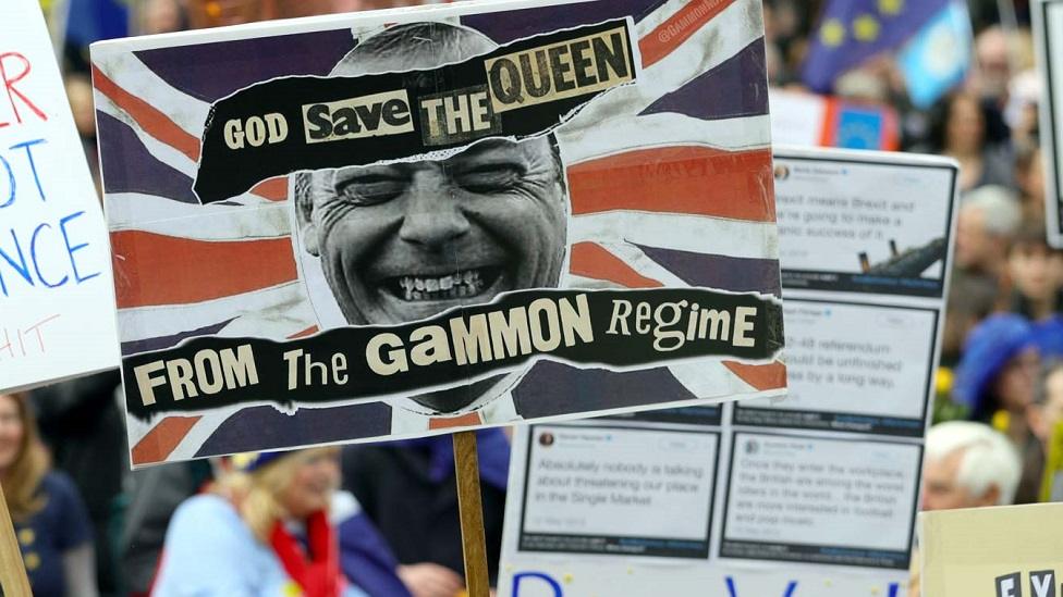 A placard using the term "gammon" during an anti-Brexit protest