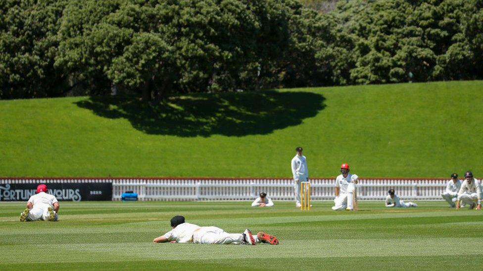 Cricketers drop to the floor to avoid a swarm of bees.