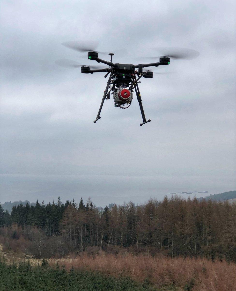 drone surveying forest