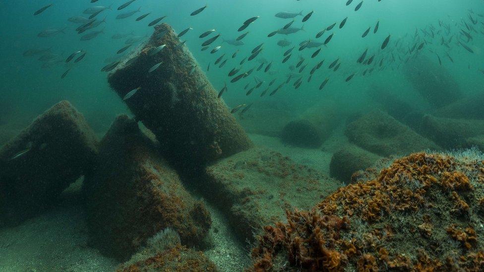 The Egyptian ruins of two long forgotten, ancient cities were located in Aboukir Bay in the Nile Delta. These stone fragments don't look like much more than a fun place for fish to hang out - but underwater archaeologists discovered some astonishing treasures hidden below the surface.