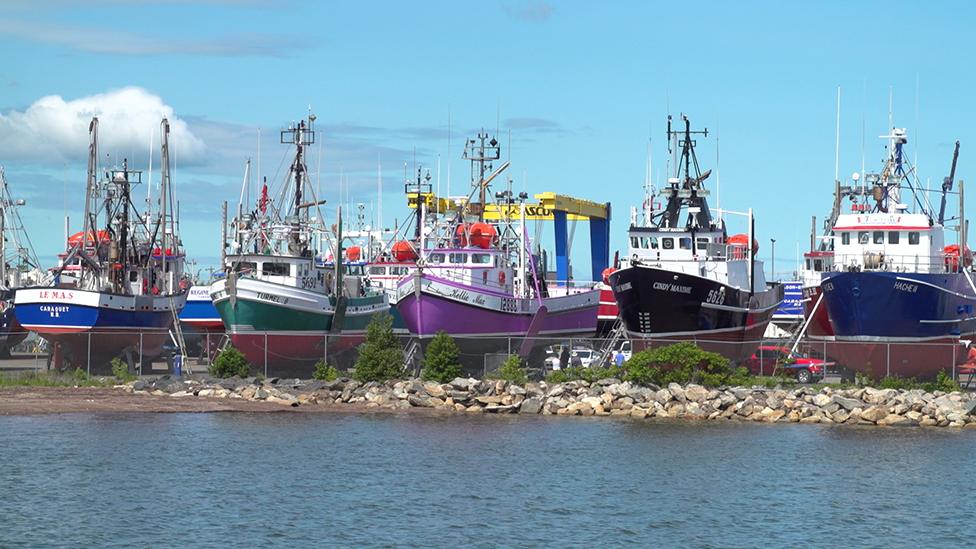 Snow crab fishing boats in dry dock in Shippagan, New Brunswick