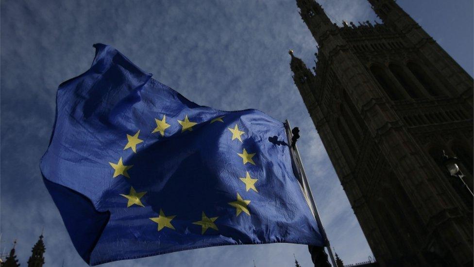 EU flag outside UK Parliament