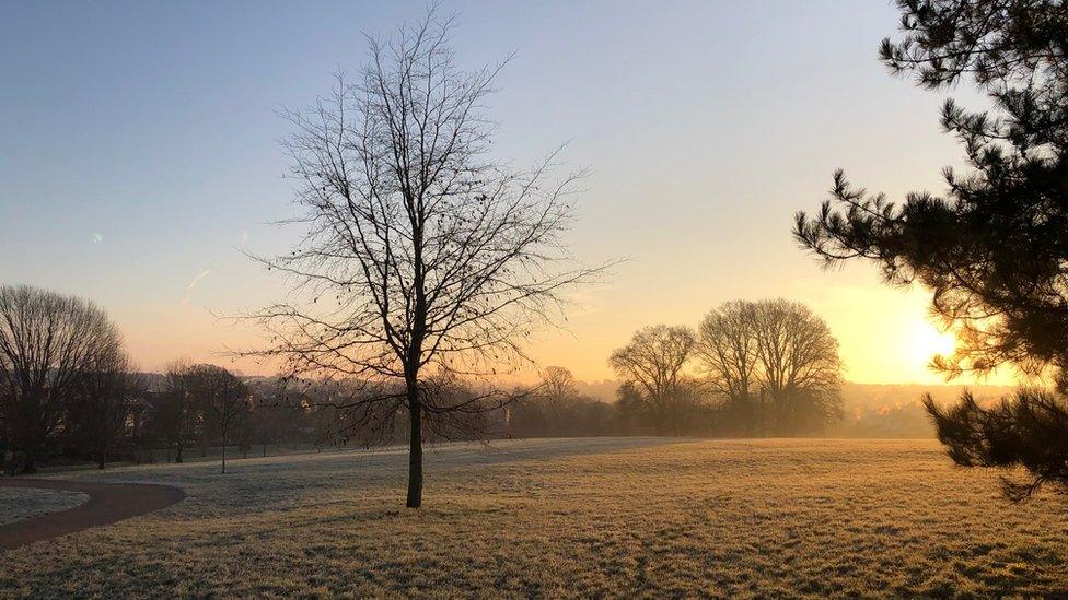 Frost in Heavitree Park in Exeter in January 2021