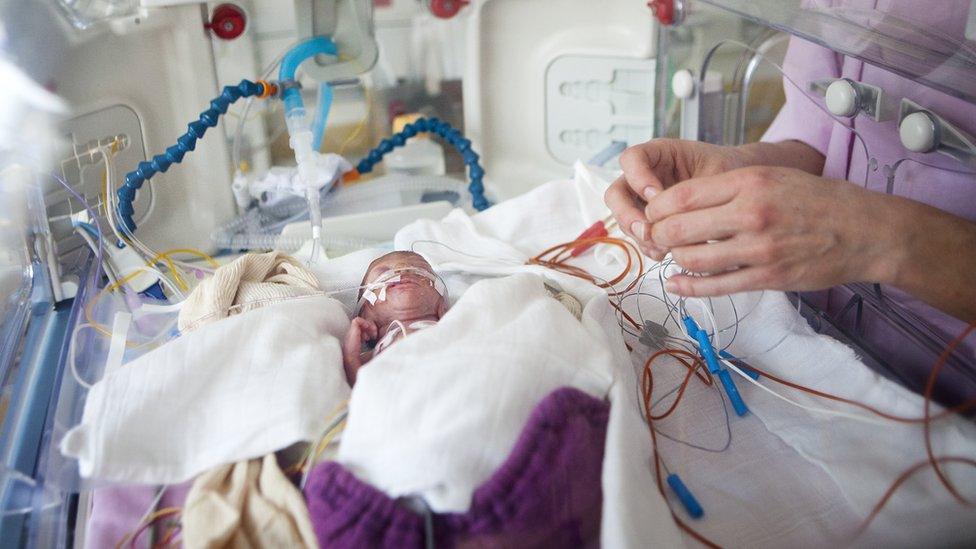 Premature baby in incubator