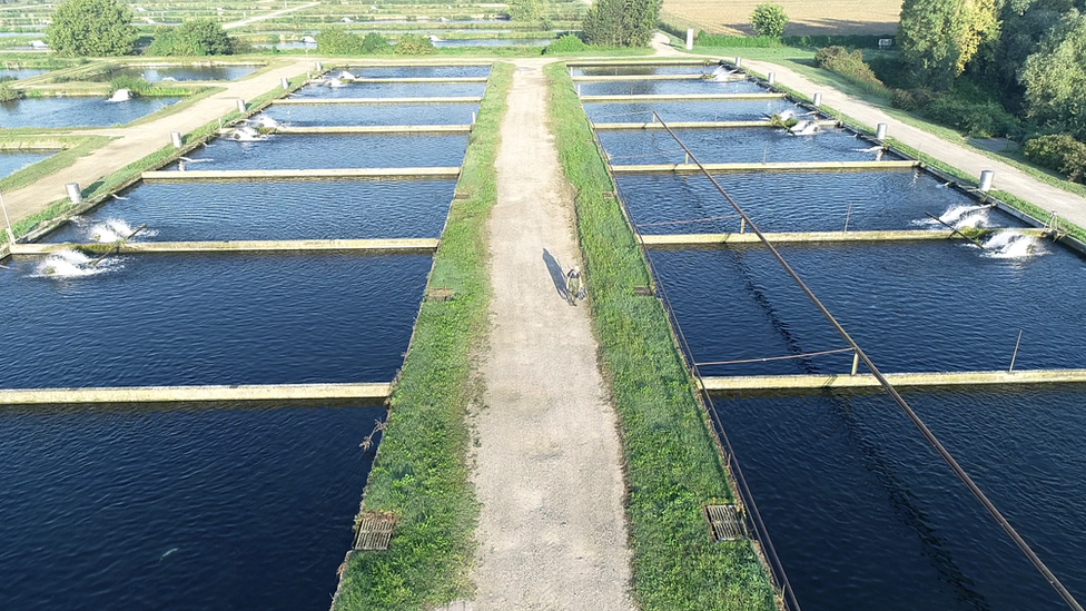 Agroittica Lombarda fish ponds