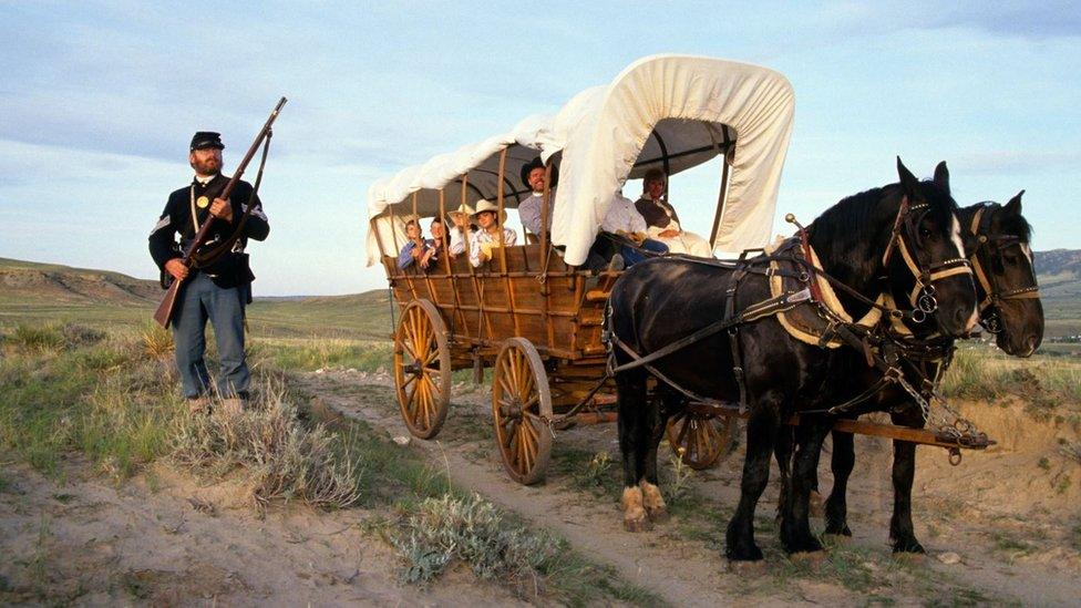 A horse drawn Conestoga wagon