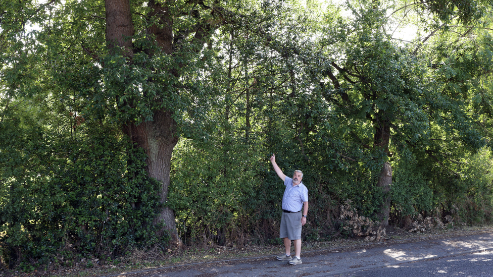 Paul Burns standing next to the 'dangerous' tree branch