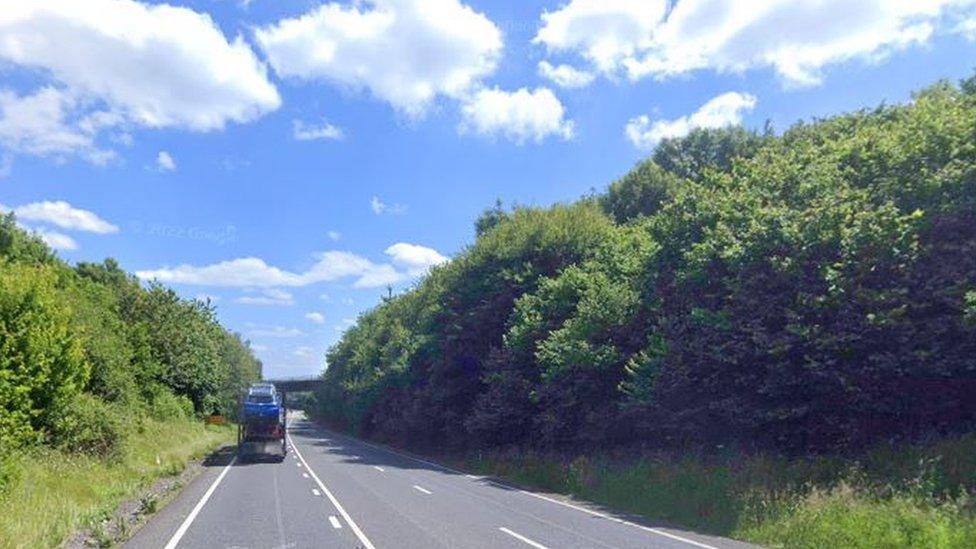 A road in Somerset with trees either side