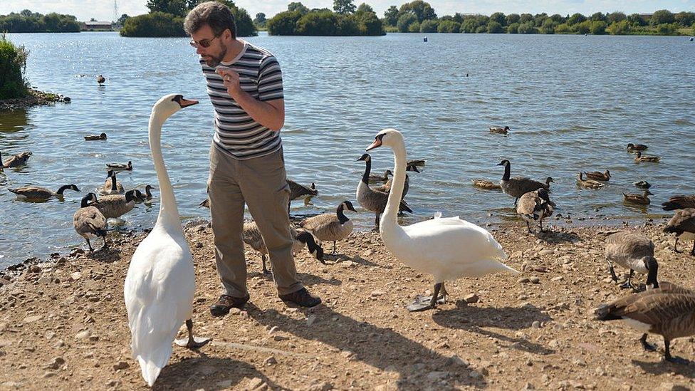 Visitor feeding birds at reserve