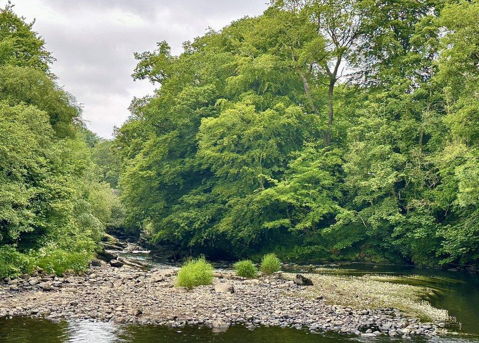 A river with a low level of water in the Roe Valley