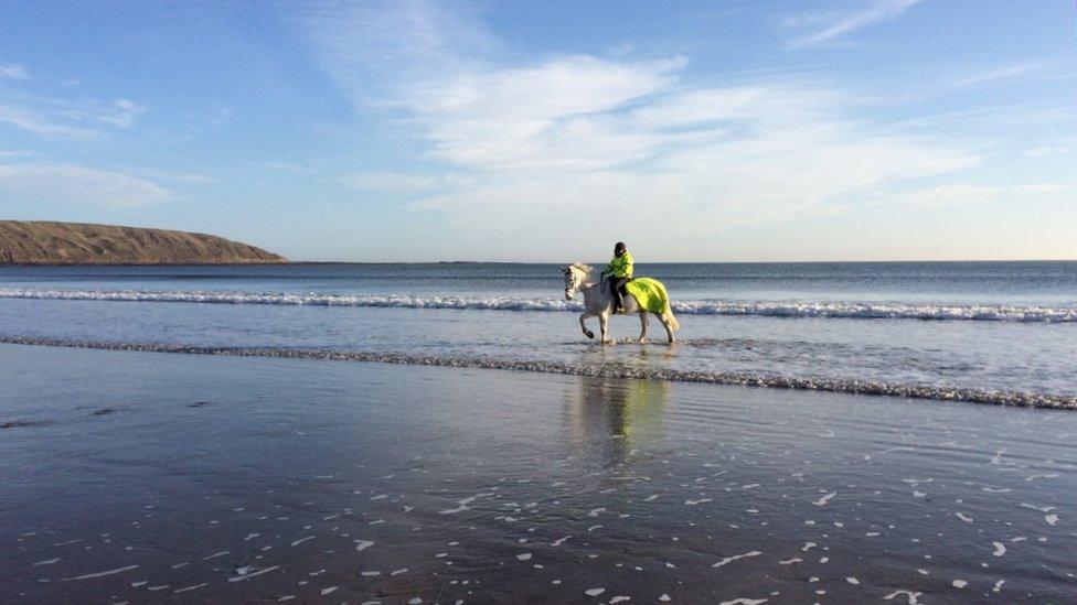 Rocky on the beach