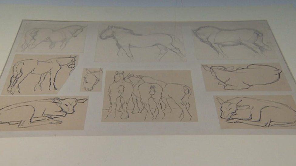 Some of the drawings featured in the exhibition