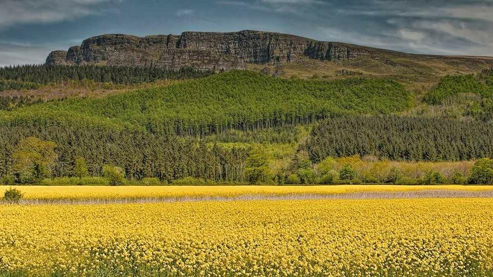 Limavady landscape