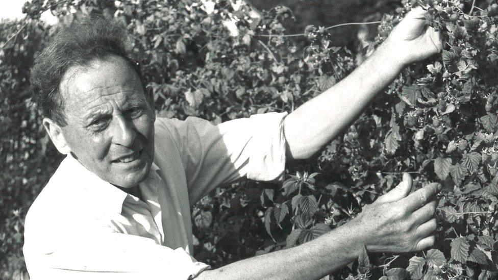 Donald Watson handling a fruit bush