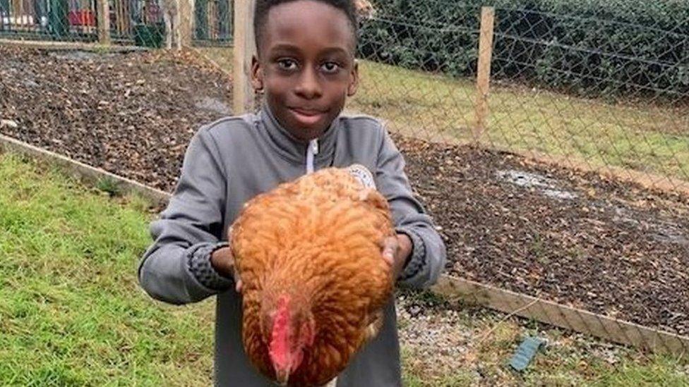 Pupil with chicken