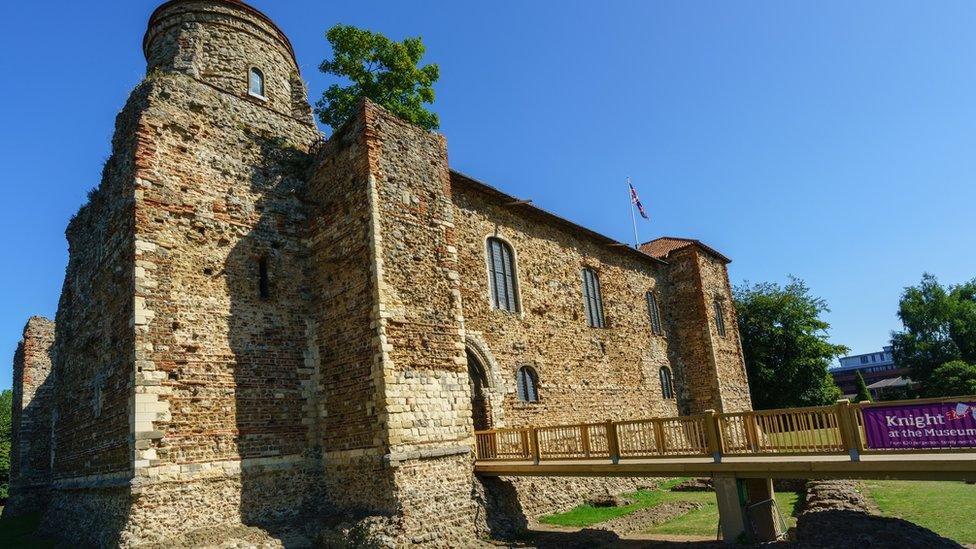 colchester castle sycamore on the essex stronghold