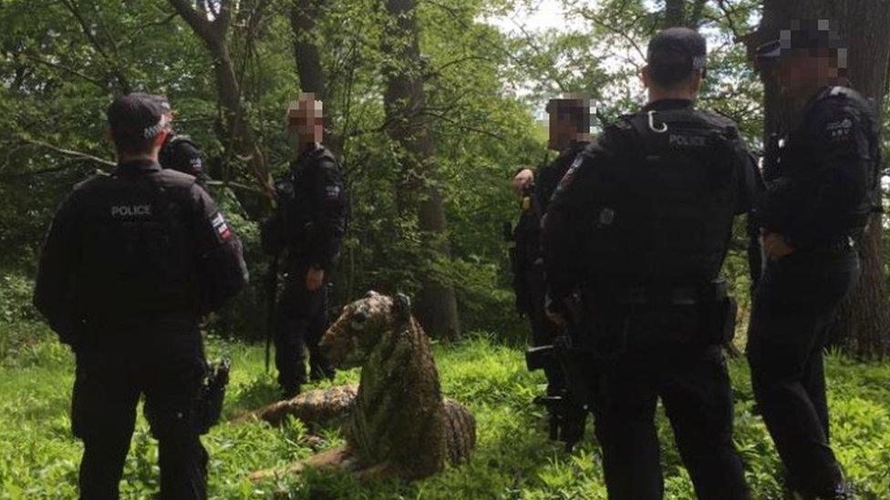 Tiger and armed police in the wood