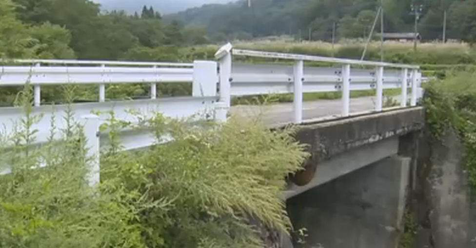 A view of the bridge - the nest can be seen on the underside