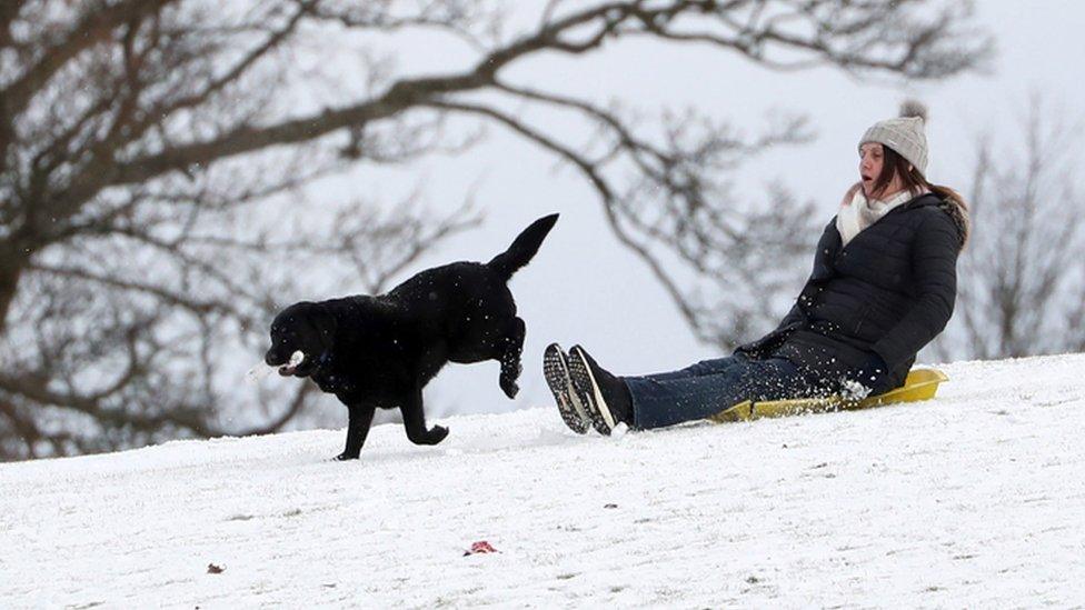 A person sledging in a snow covered Callender Park in Falkirk. Picture date: Monday February 8, 2021